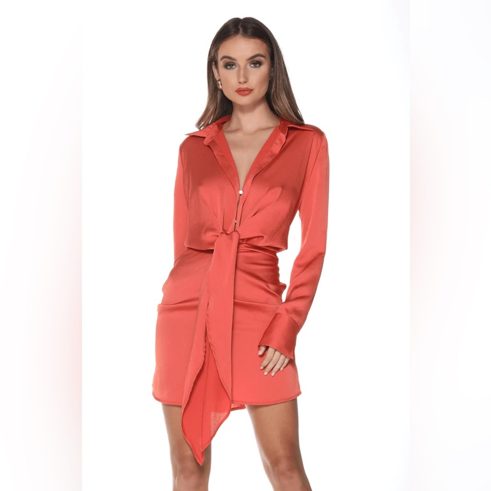 Never worn - AJA MINI RUST DRESS